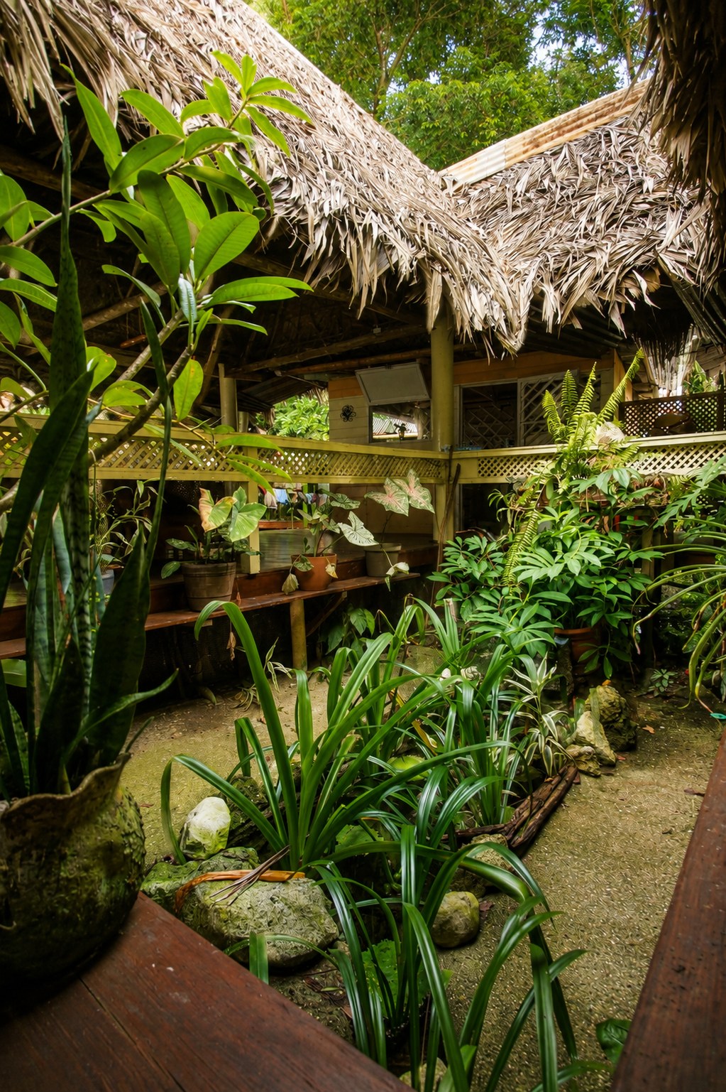 Indoor pond courtyard