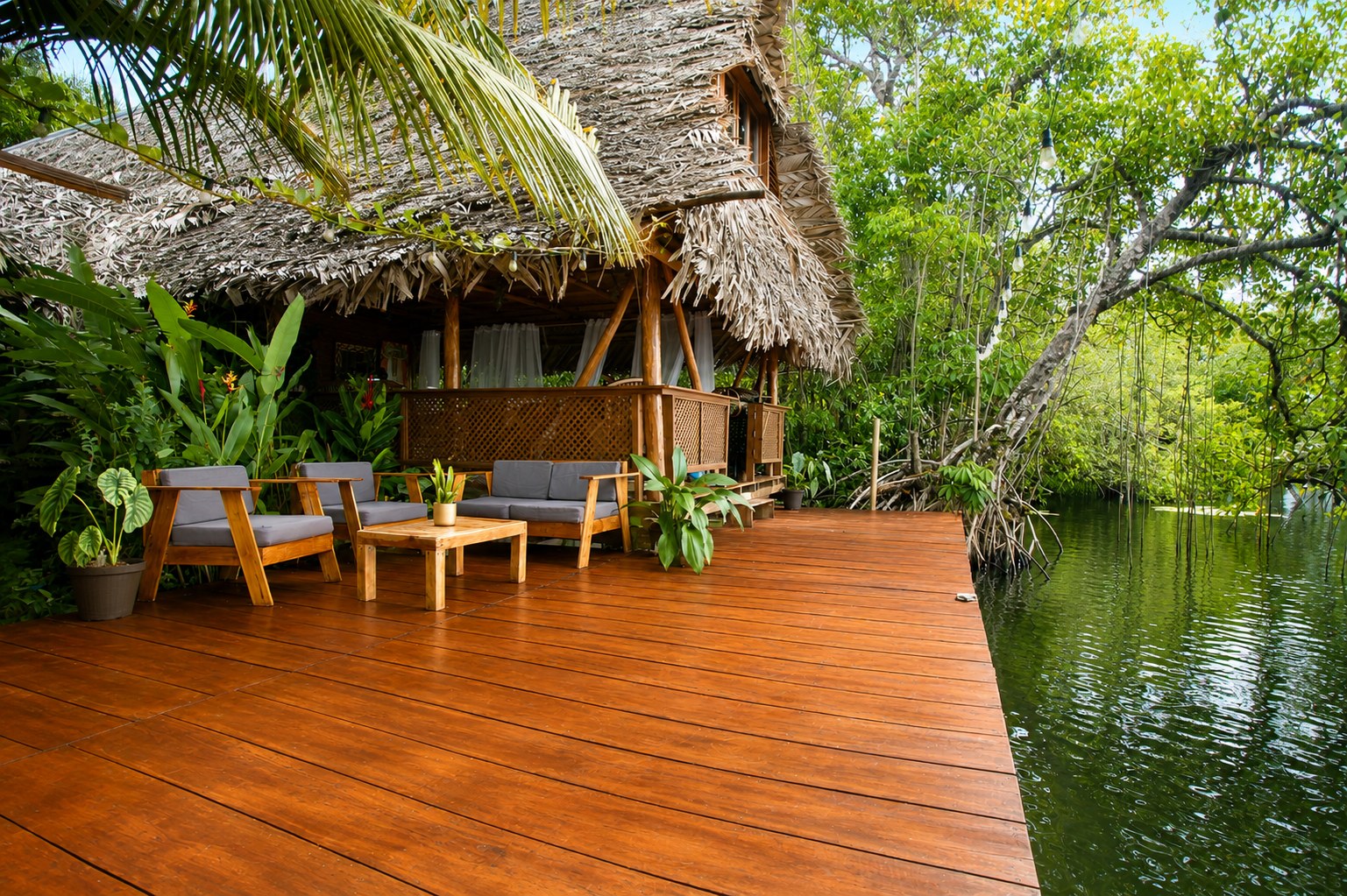Jungle exterior