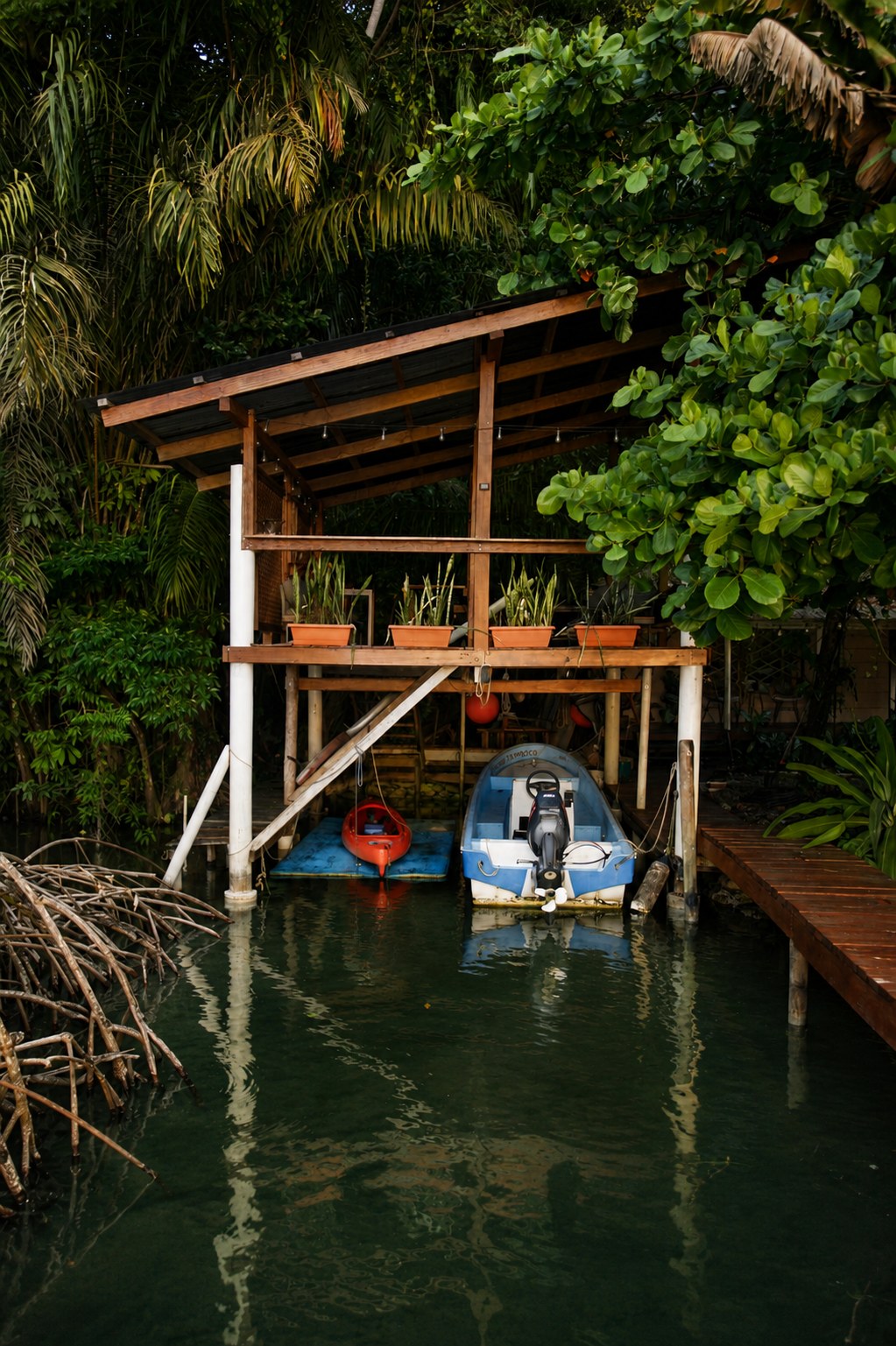 Waterfront garden